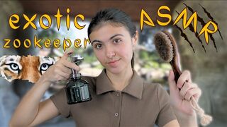 Baby Bella: Exotic Zookeeper Takes Care of YOU🐅 *RAWR* asmr